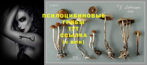 МДПВ Чердынь
