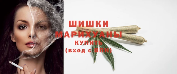 spice Михайлов