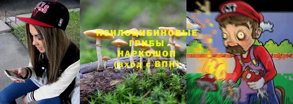тгк Михайловск