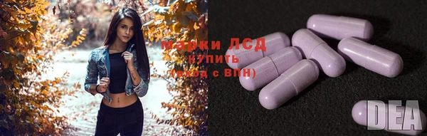 тгк Михайловск